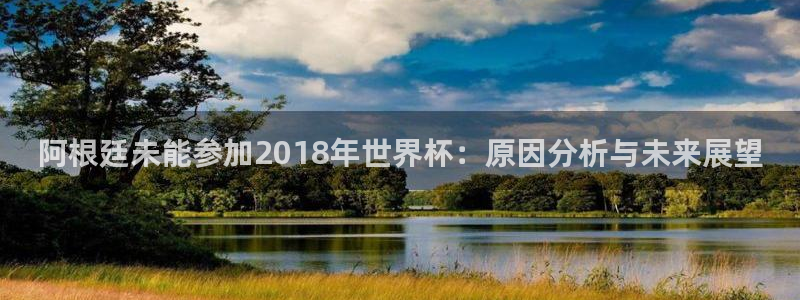 世界杯预选赛排名：阿根廷未能参加2018年世界杯：原因分析与未来展望