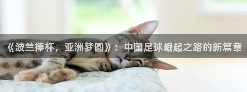 2026年男足世界杯：《波兰捧杯，亚洲梦圆》：中国足球崛起之路的新篇章