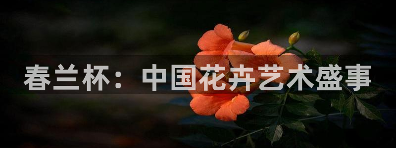 女足世界杯直播在线观看免费高清：春兰杯：中国花卉艺术盛事