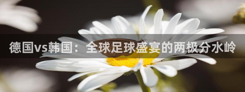 2026年世界杯赛程表时间：德国vs韩国：全球足球盛宴的两极分水岭