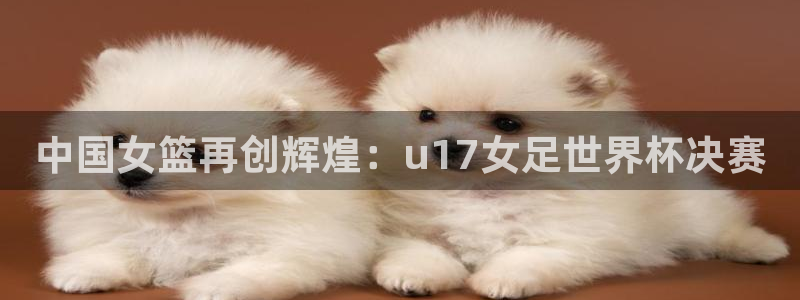 足球杯：中国女篮再创辉煌：u17女足世界杯决赛