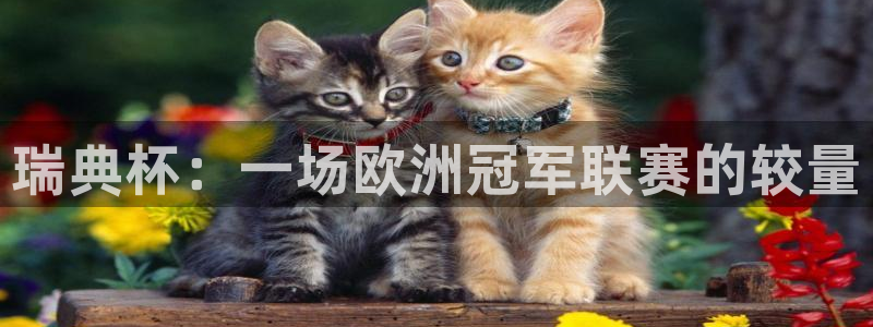 世界杯预赛赛程：瑞典杯：一场欧洲冠军联赛的较量