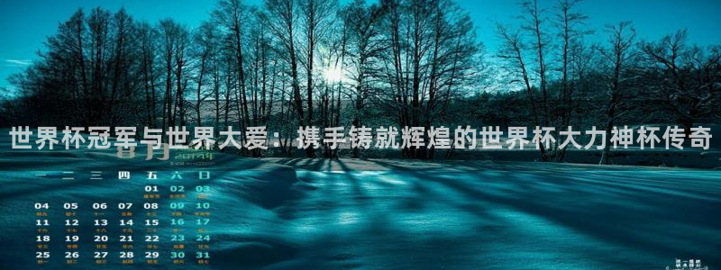 世界杯欧洲预选赛赛程：世界杯冠军与世界大爱：携手铸就辉煌的世界杯大力神杯传奇