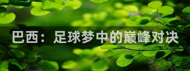 2026世界杯日期：巴西：足球梦中的巅峰对决