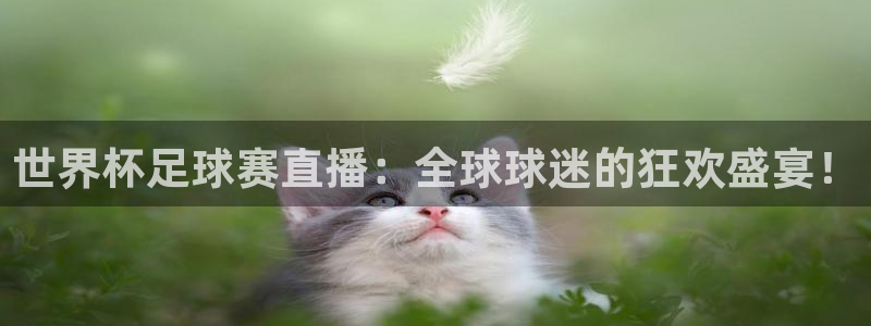 世界杯亚洲区预选赛赛程表：世界杯足球赛直播：全球球迷的狂欢盛宴！