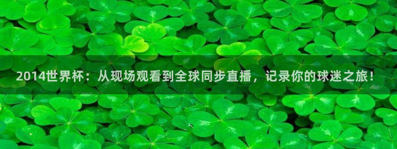 世界杯今日赛程直播：2014世界杯：从现场观看到全球同步直播，记录你的球迷之旅！