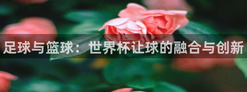 世界杯亚洲区预选赛积分榜：足球与篮球：世界杯让球的融合与创新
