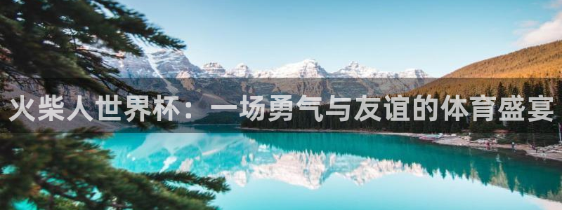 欧洲世界杯预选赛：火柴人世界杯：一场勇气与友谊的体育盛宴