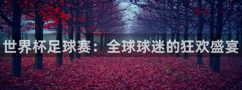 世界杯 中国：世界杯足球赛：全球球迷的狂欢盛宴