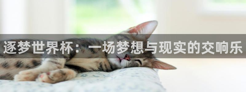 世界杯2026预选赛：逐梦世界杯：一场梦想与现实的交响乐
