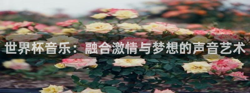 2026世界杯官网入口：世界杯音乐：融合激情与梦想的声音艺术