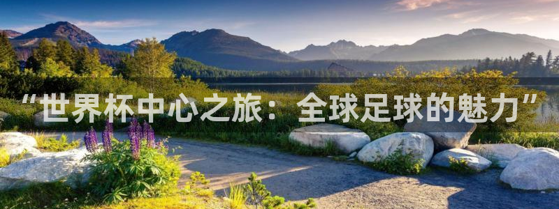 世预赛赛程表：“世界杯中心之旅：全球足球的魅力”