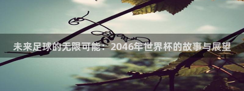 世界杯48支球队赛制：未来足球的无限可能：2046年世界杯的故事与展望