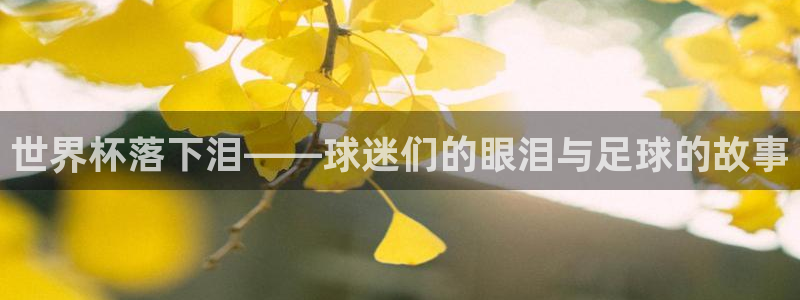 欧联杯直播：世界杯落下泪——球迷们的眼泪与足球的故事