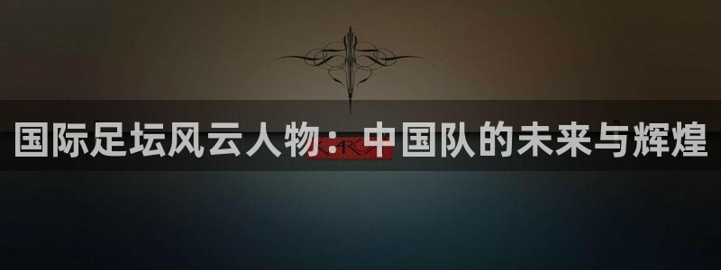 足球世预赛：国际足坛风云人物：中国队的未来与辉煌