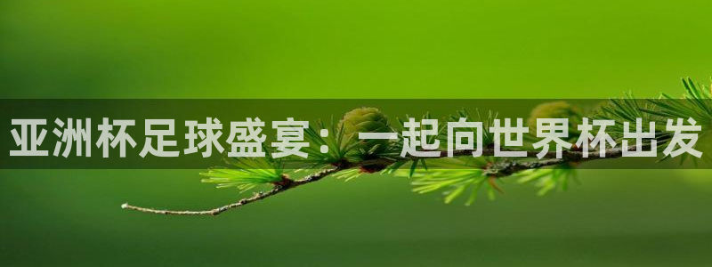 足球比分直播世界杯：亚洲杯足球盛宴：一起向世界杯出发